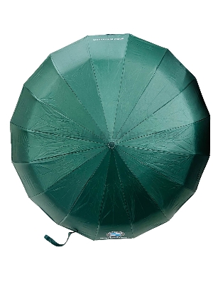 Picture of Bmw Umbrella 16 Ribs | Bmw 16k Umbrella Auto Close | 16 Ribs Umbrella Windproof | Bmw Umbrella Big size Auto Close
