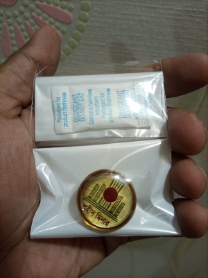 Picture of SHAHID MINAR Coat pin Broaches (01 pcs)