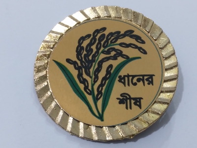 Picture of Sheaf of Paddy Coat Pin/ Hijab Pin Brooches (One Pieces)