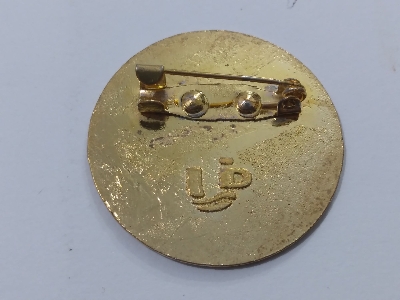 Picture of Jatiyatabadi Chhatra Daal Coat Pin/ Hijab Pin Brooches (One Pieces)