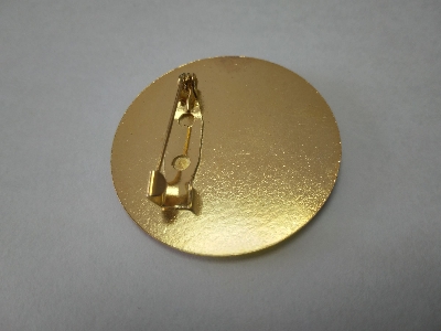 Picture of Jatiyatabadi Chhatra Daal Coat Pin/ Hijab Pin Brooches (One Pieces)