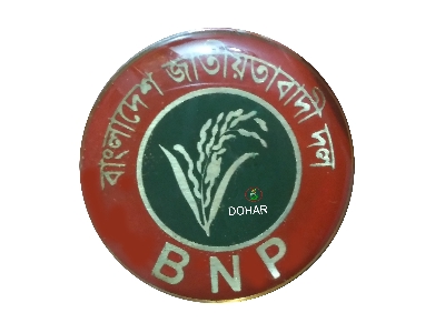 Picture of B NP Green/ Red Coat Pin/ Hijab pin (01 pieces)