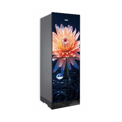 Picture of VISION Glass Door Refrigerator RE-240 Liter Water DO Daisy Bottom Mount