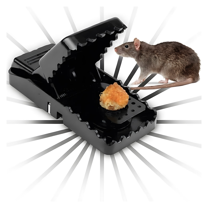 Mouse Killer Trap | Compact and Effective Rodent Control (5×3×3 inches) ZangCart Bdonline shop bangladeshothoba.com