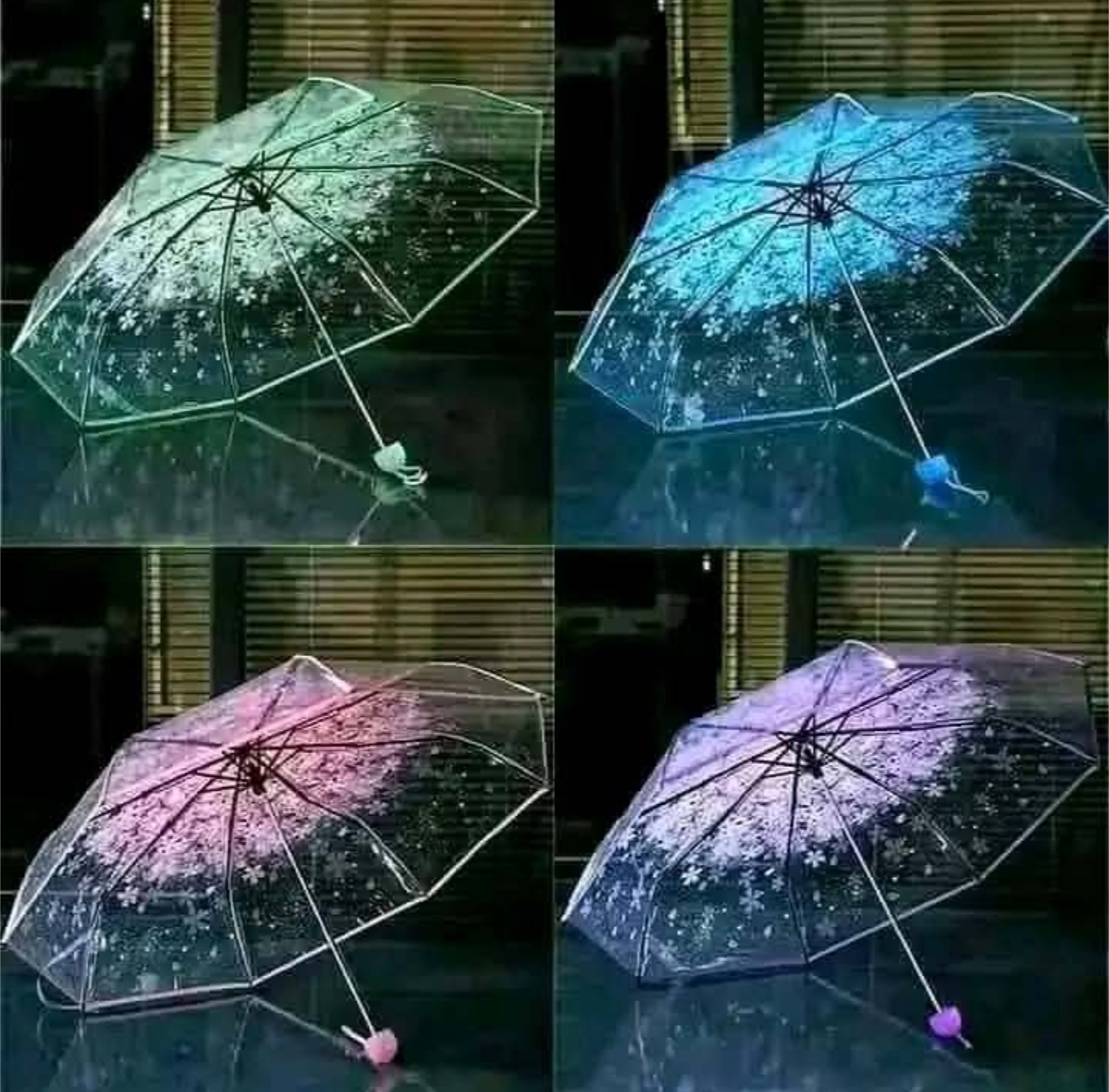 Picture of Transperent umbrella Available all color