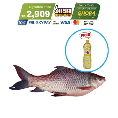 Picture of Rui Fish (রুই) 4.5kg (100gm±)  Per Pc Before Cutting