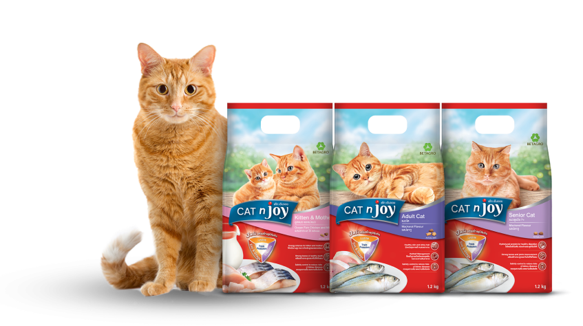 Picture of Cat N Joy Kitten & Mother 1.2kg