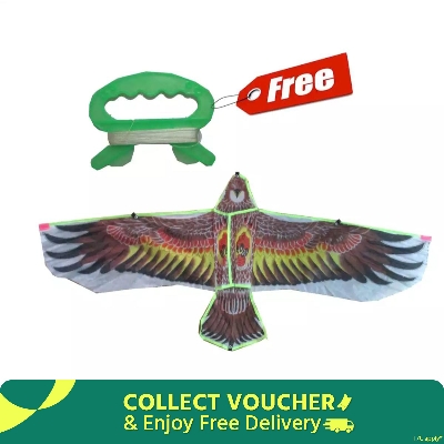 Picture of Chil guri/kite/Flying kite