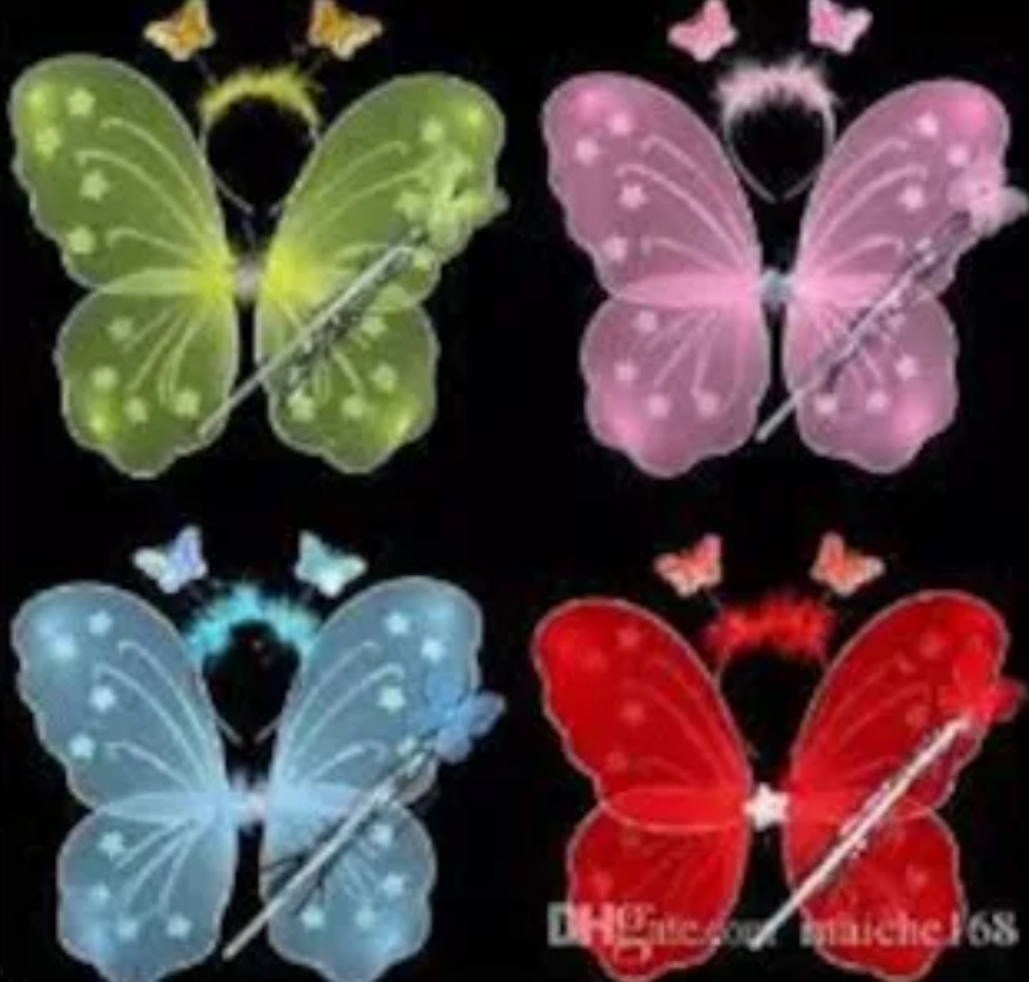 Picture of Fairy wing/porir pakha/ pori dana