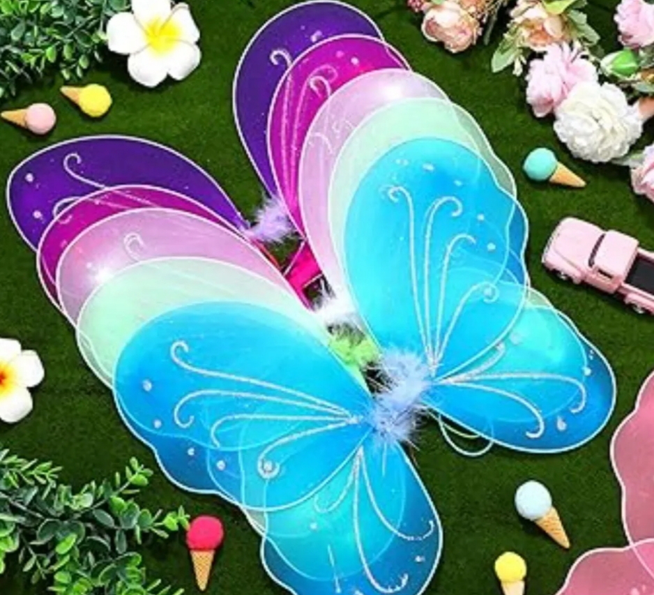 Picture of Fairy wing/porir pakha/ pori dana