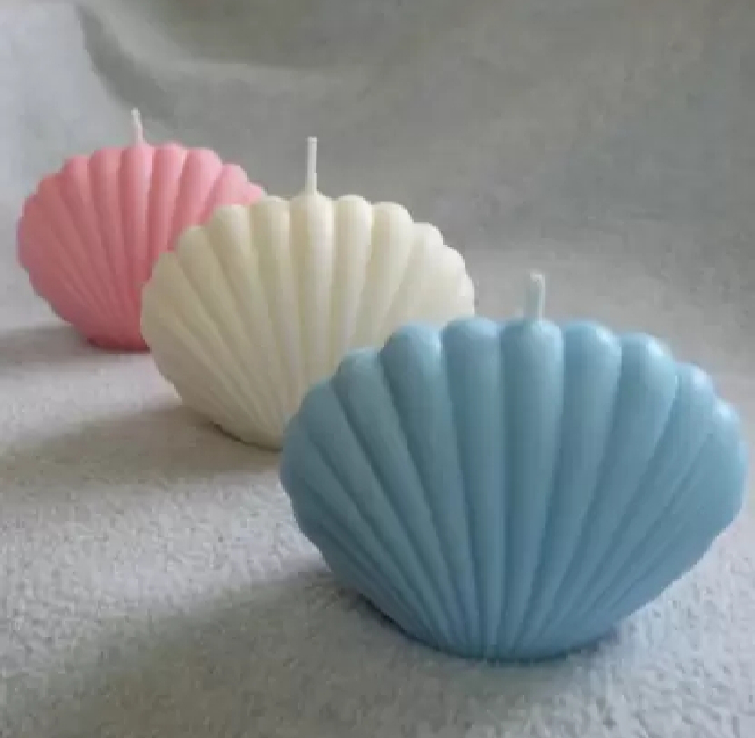 Picture of Seashell cute candle for home decor candle night dinner home Large - 1pcs/Seashell samock Candles 1 piece