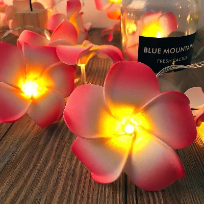 Picture of plumeria flower led string light /Kath Golap fairy light  bedroom decorative party