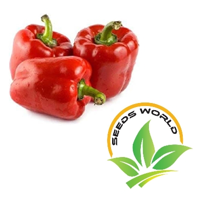 Picture of Capcicum Green/red/yellow mix seed (20 seeds)