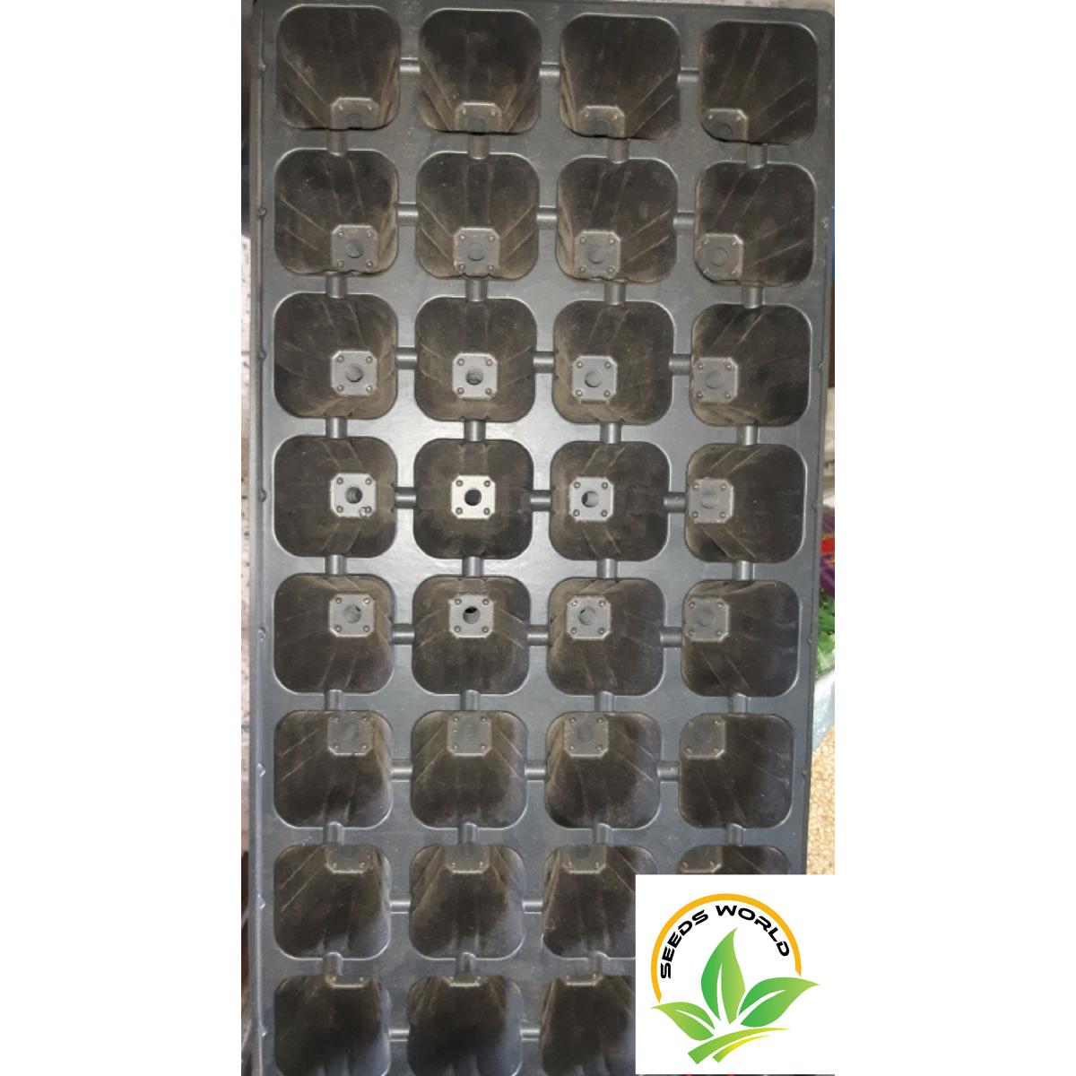 Picture of Seeding stone seedbed seed tray hole 32 cell 2-pcs /seed tray (2pcs tray 64 hole)