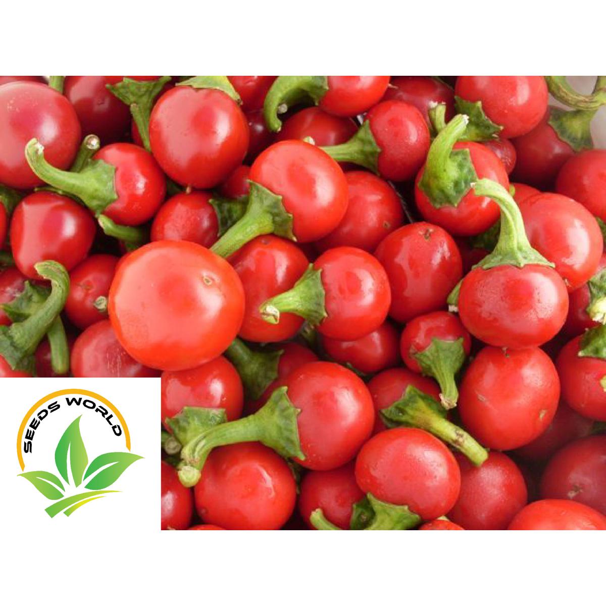 Picture of Hot Pepper Round Shaji 115 - Vegetable Seeds- ( 15 pcs )