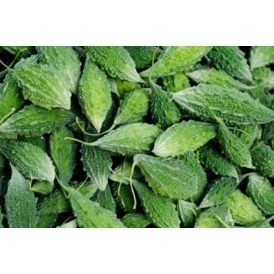 Picture of UCCHE SEEDS, BITTER MELON all season15 pcs