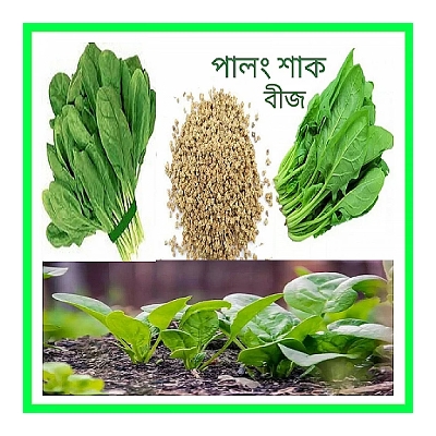 Picture of Hybrid Palong Shak - 30 gm