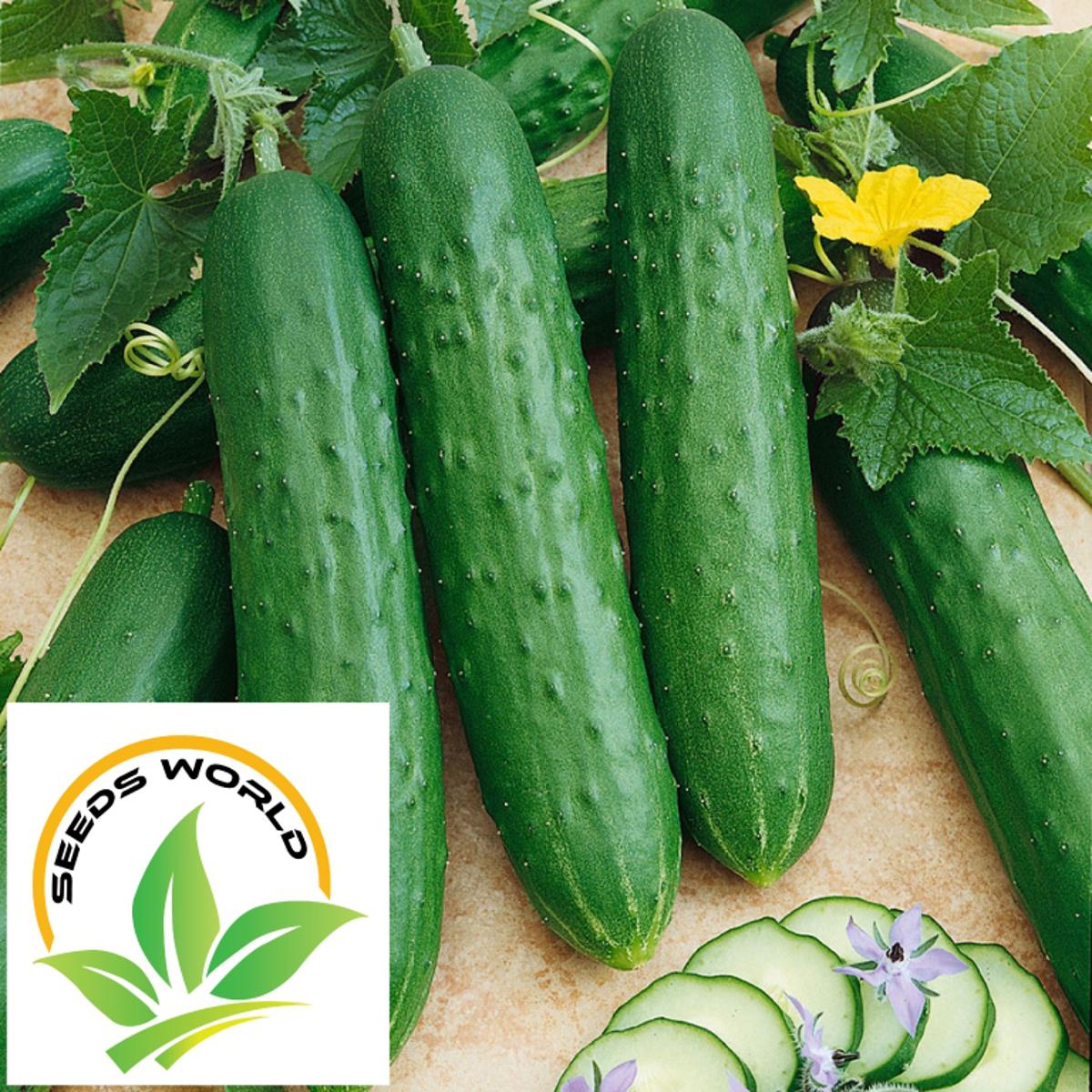 Picture of All Season Hybrid Cucumber 30 Seeds