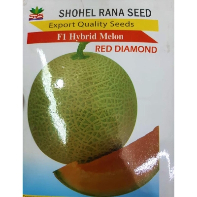 Picture of Rock melon Seeds 20pcs F1 Hybrid Seeds intake packet / 20 pcs Pack Rock Melon (সাম্মাম) Seeds / Rock Melon / Cantaloupe Melon - রক মেলন / ক্যান্টালুপ মেলন