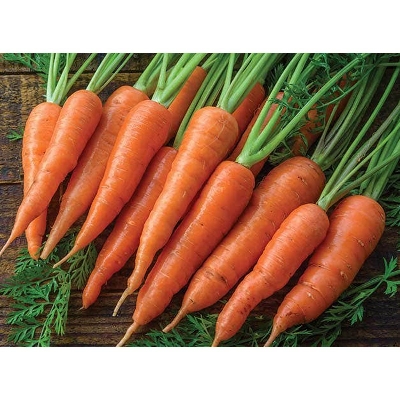 Picture of Carrots seeds 200 pcs