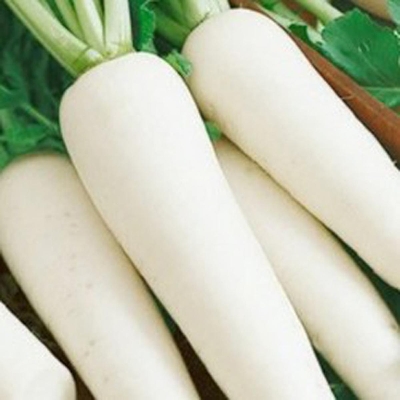 Picture of White F1 Radish Seeds Mini pack ( 2 Intact Pack)