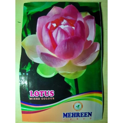 Picture of Lotus Flower Seeds ( Intake Packet ) - 4 Seeds