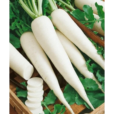Picture of White Radish Seeds - 10 gm