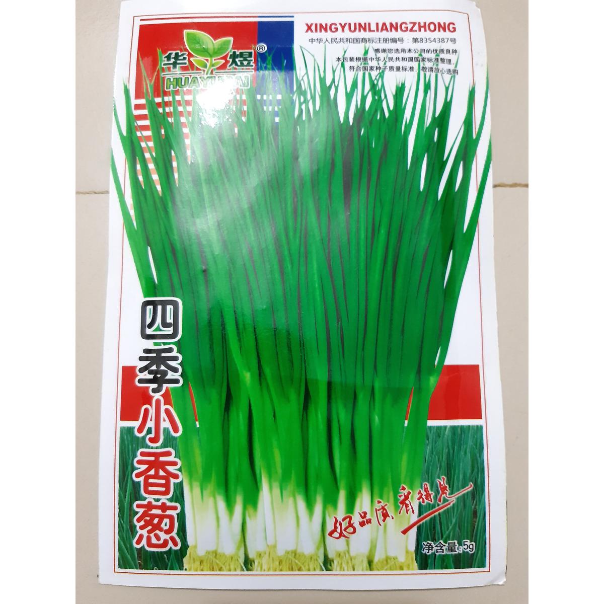 Picture of পেঁয়াজ আমদানি করা f1 হাইব্রিড বীজ/পেঁয়াজের বীজ-50 পিস - onion