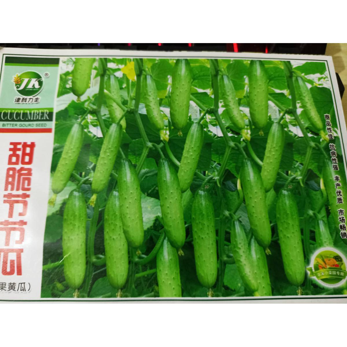 Picture of All Season JAPANESE Cucumber Seeds Imported 20 pcs ( Small size )