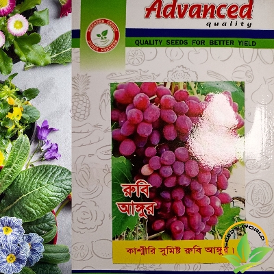 Picture of Kashmiri Grape Seeds INTACT PACKET