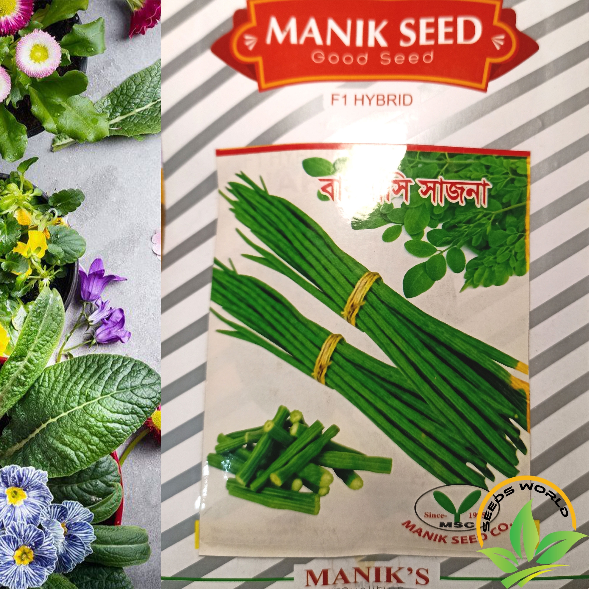 Picture of Moringa Seeds (Sojina) Intact Packet - Seeds