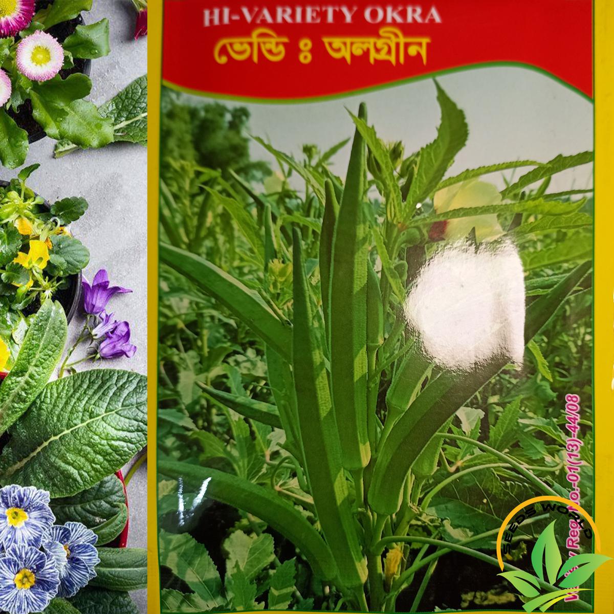 Picture of Dhendrash / Vendi (Okra)  Seeds Imported F1 Hybrid green finger INTACT PACKET