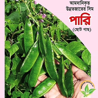 Picture of Beans seeds intact packet Hybrid seed (10gm)