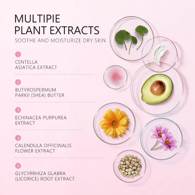 Picture of LAIKOU Japan Sakura Tone up Cream - 60g