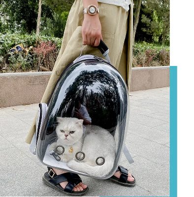 Picture of Transparent Cat Carrying Bags Space Breathable Pet Backpack Portable Puppy Pets Backpack Transport Carrier Space Capsule Dog Bag