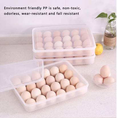 Picture of 34 Grid Egg Storage Box | Kitchen Food Storage & Dispenser for Home & Office