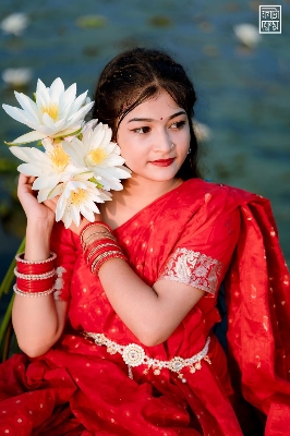 Picture of HalfSilk Tant Jamdani Saree