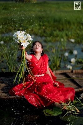 Picture of HalfSilk Tant Jamdani Saree