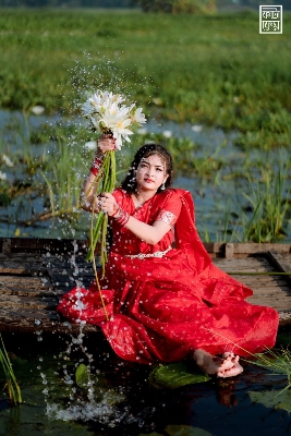 Picture of HalfSilk Tant Jamdani Saree