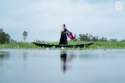 Picture of Maslice Cotton Saree