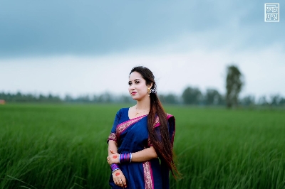 Picture of Maslice Cotton Saree