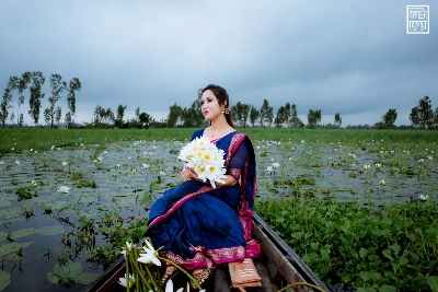 Picture of Maslice Cotton Saree