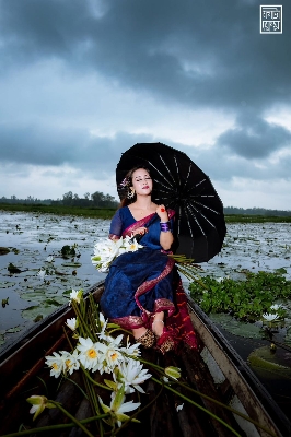 Picture of Maslice Cotton Saree