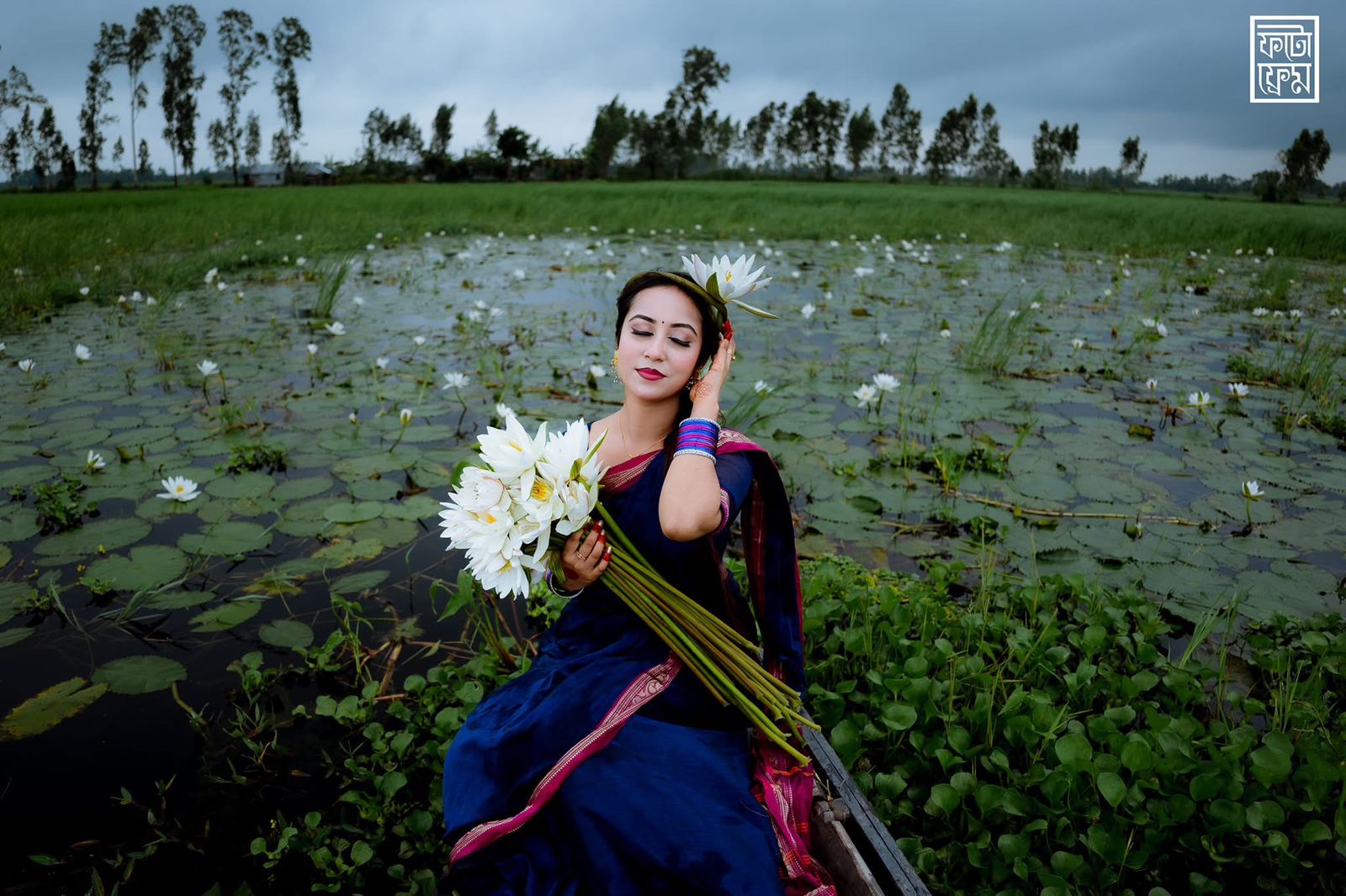 Picture of Maslice Cotton Saree