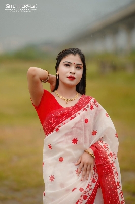 Picture of Afsan Print Saree