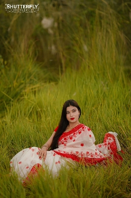 Picture of Afsan Print Saree