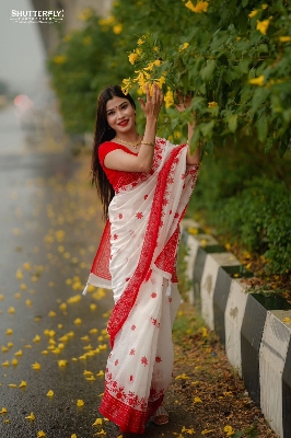 Picture of Afsan Print Saree