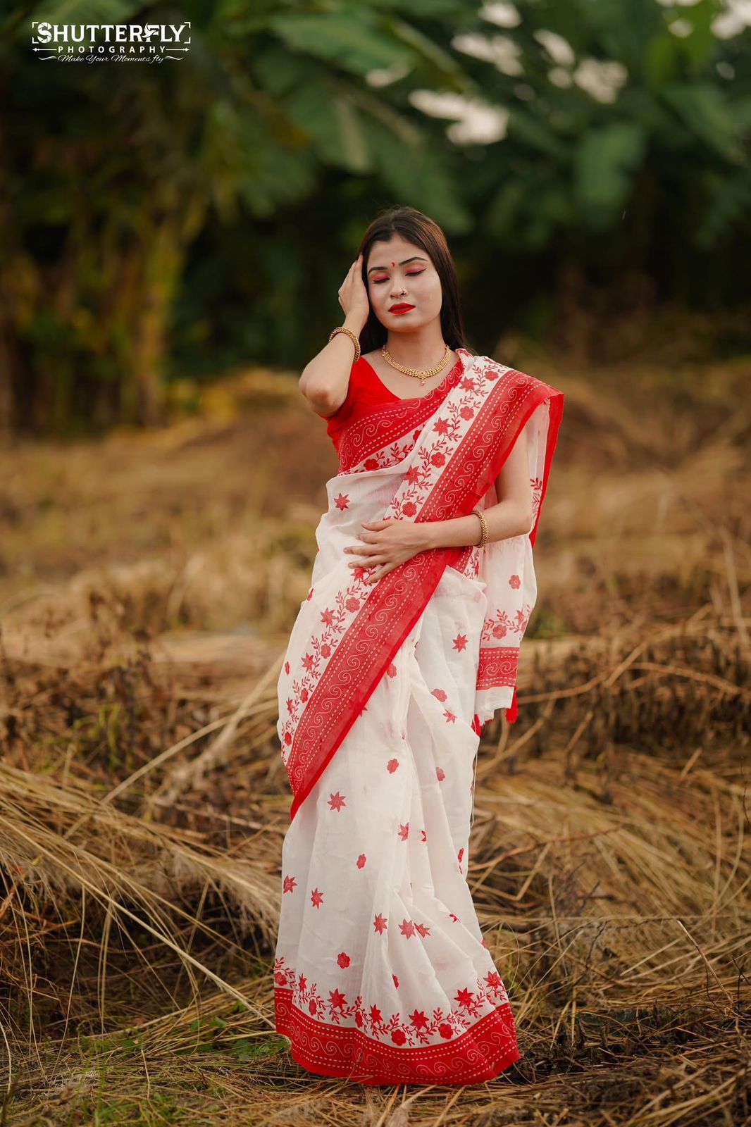 Picture of Afsan Print Saree