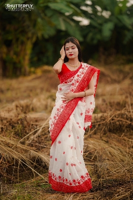 Picture of Afsan Print Saree