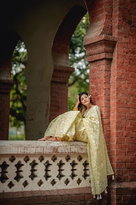 Picture of Afsan Print Saree